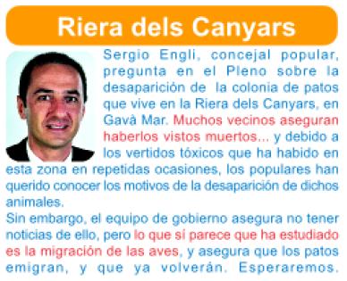 Notícia publicada al número 37 de la publicació GAVÀ POPULAR sobre la resposta del Govern municipal de Gavà al prec del PPc sobre la mort dels ànecs a la riera dels Canyars (Novembre de 2008)